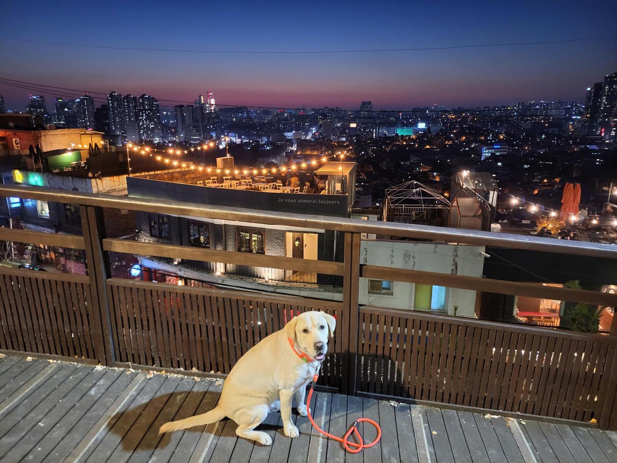 Cozy Private Home Newly Renovated #3 Seoul Exteriör bild